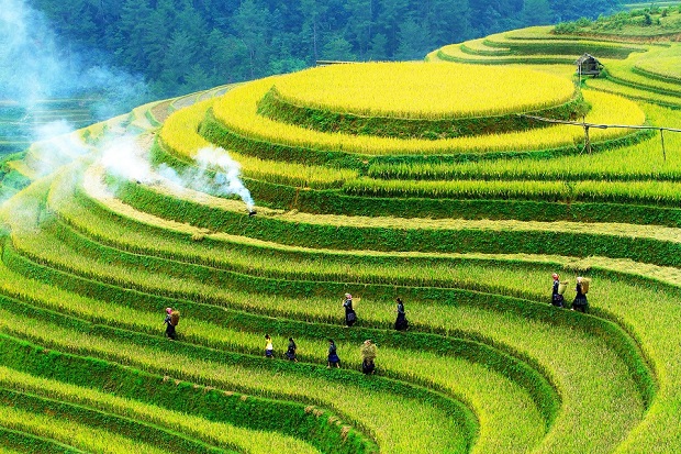 Crossing: Mu Cang Chai 2 days 1 night